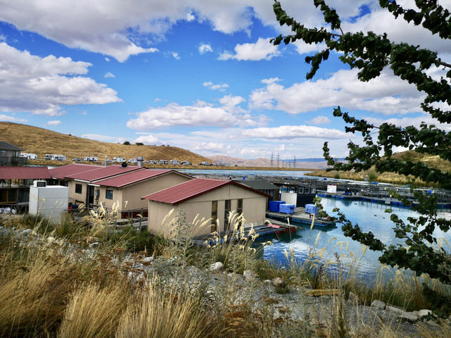 🏞️ 新西蘭最美的湖水和三文魚養殖場