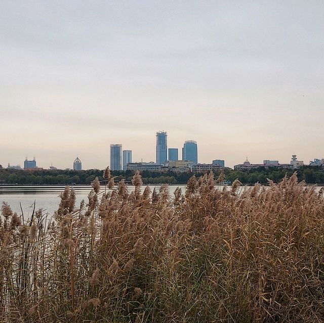 South Lake Park สวนสาธารณะใหญ่ใจกลางเมืองฉางชุน