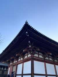 🏯 京都・東寺（To-ji）の魅力を紹介！