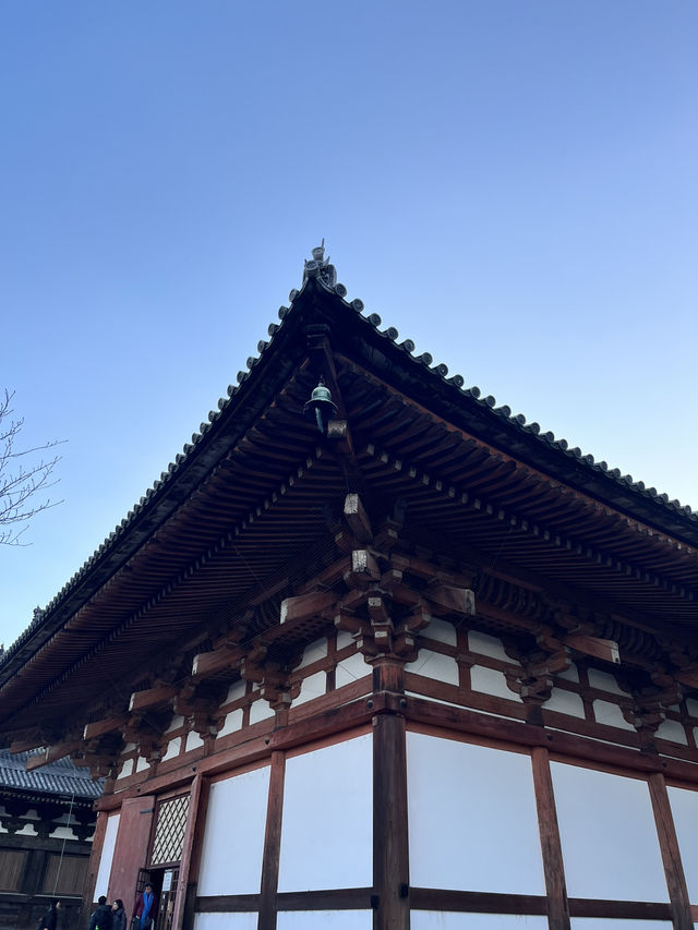 🏯 京都・東寺（To-ji）の魅力を紹介！