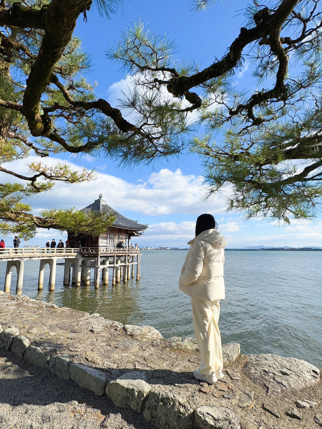 日本景點🇯🇵特式水上佛堂🩵