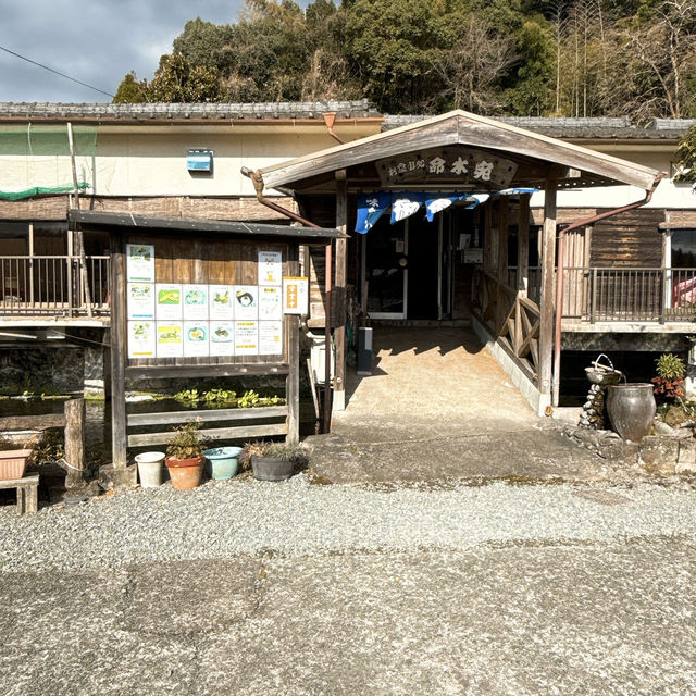【竹田】新鮮ピチピチ✨釣った魚をその場で食べられる川魚釣り堀🐟