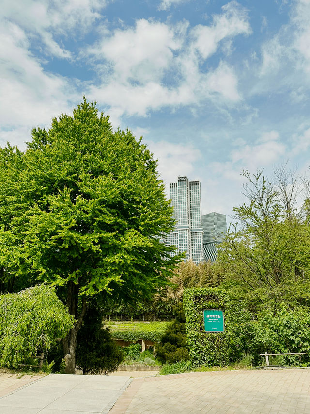 도심 속 자연에서 힐링타임을! ‘서울숲 공원’ 🌲🌷