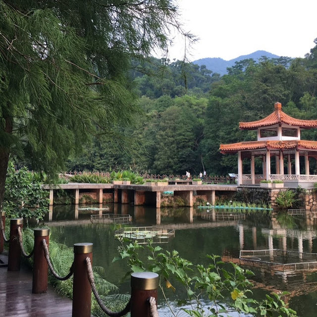 深圳木蘭園（Mulan Garden）的自然美景