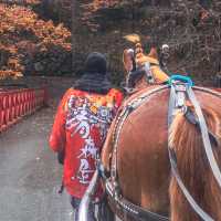【青森】馬車でぐるっとお散歩🐴青森屋