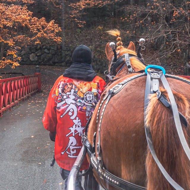 【青森】馬車でぐるっとお散歩🐴青森屋