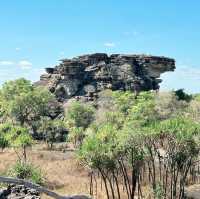 A Wild Adventure Awaits: My Unforgettable Day at Kakadu National Park !!