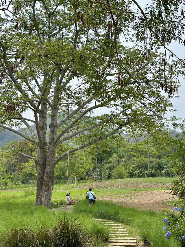คาเฟ่เขาใหญ่ บรรยากาศดีสุดใจ 💚🍃