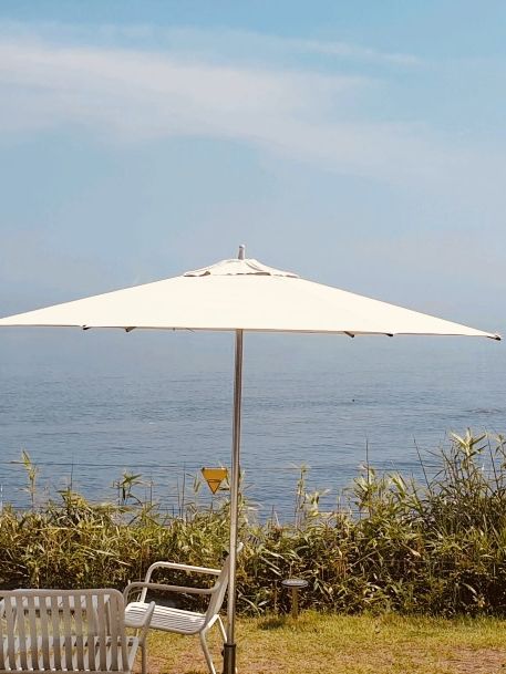 A Scenic Stop You Can't-Miss
