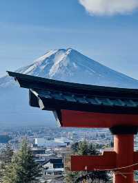 【山梨県】世界的に有名な富士山絶景スポット‼️