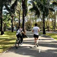 🛣 สวนสาธารณะบึงหนองบอน