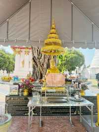 วัดสุวรรณดารามราชวรวิหาร วัดสวยในอยุธยา🌸