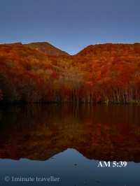 蔦沼の紅葉、撮影のベストタイミングは日の出から約30分間