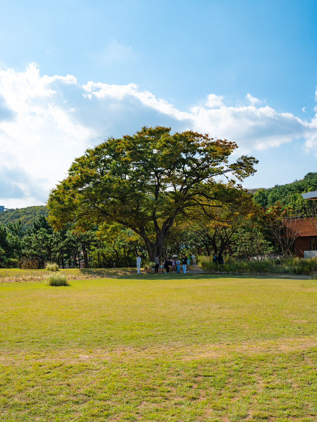 부산의 새로운 모모스커피 도모헌점🏡☕️