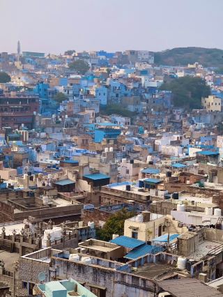 Pachetia Hill - Jodhpur City Viewpoint Hike 💙🦋