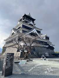 Kumamoto Castle 🏯 | Kumamoto | Japan 🇯🇵