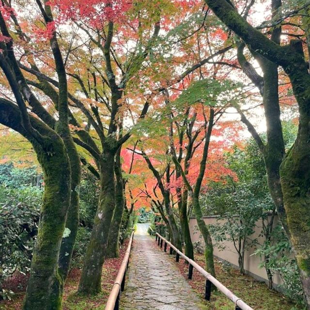 Koetsuji Temple