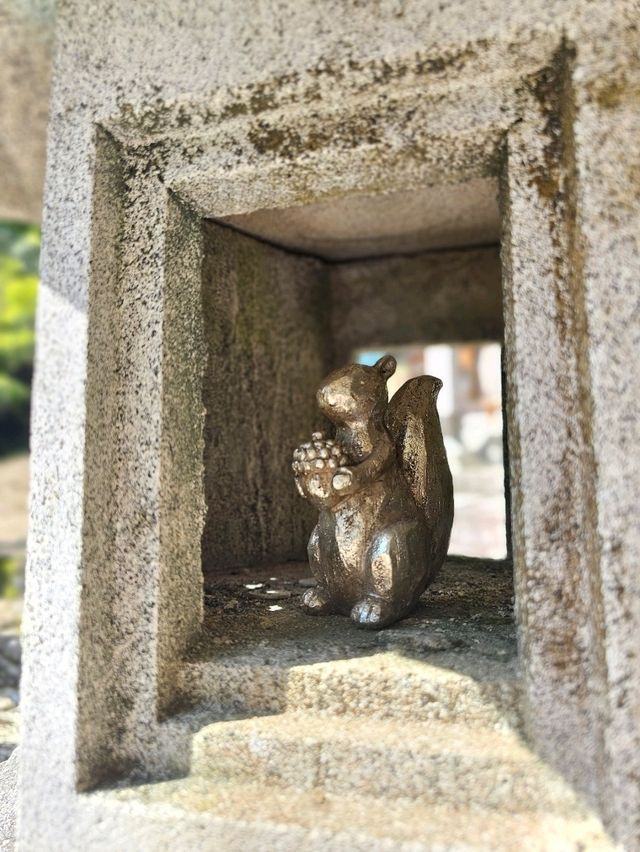 【リスがたくさん？！癒しとかわいいが詰まった神社】