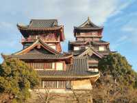 豊臣秀吉の御隠居として有名🤍【伏見桃山城】