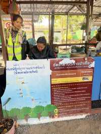 ถ้ำนาคา อุทยานแห่งชาติภูลังกา