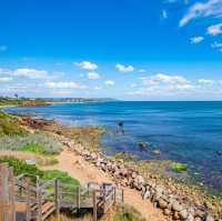 Breathtaking Spring Afternoon in Mornington Peninsula