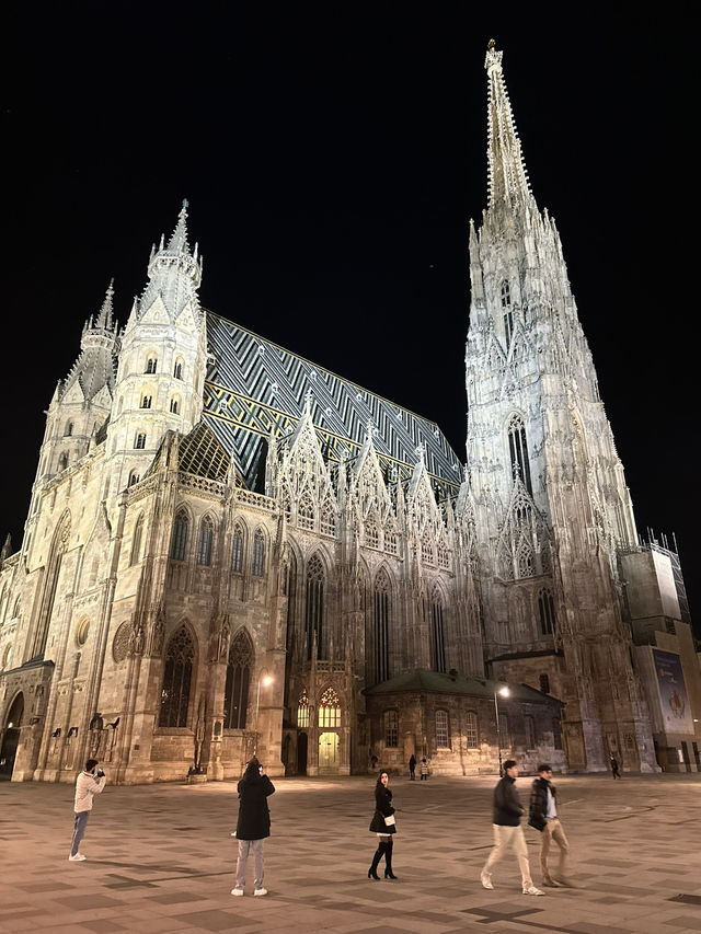 Experience the Magic of Vienna by Night