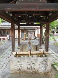 京都清涼寺參訪體驗：嵐山的寧靜角落，感受千年佛寺的禪意
