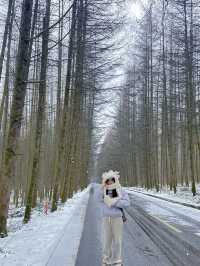 Guangwu Mountain, Nanjiang County