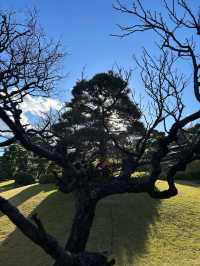 「八芳園」是一個很棒的賞楓景點
