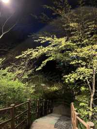 สวนนักซาน (Naksan Park) 🌿