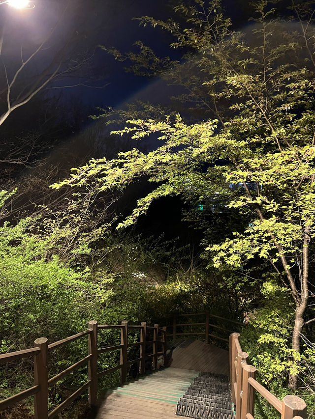 สวนนักซาน (Naksan Park) 🌿