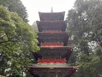 日光東照宮@栃木・日光⛩️