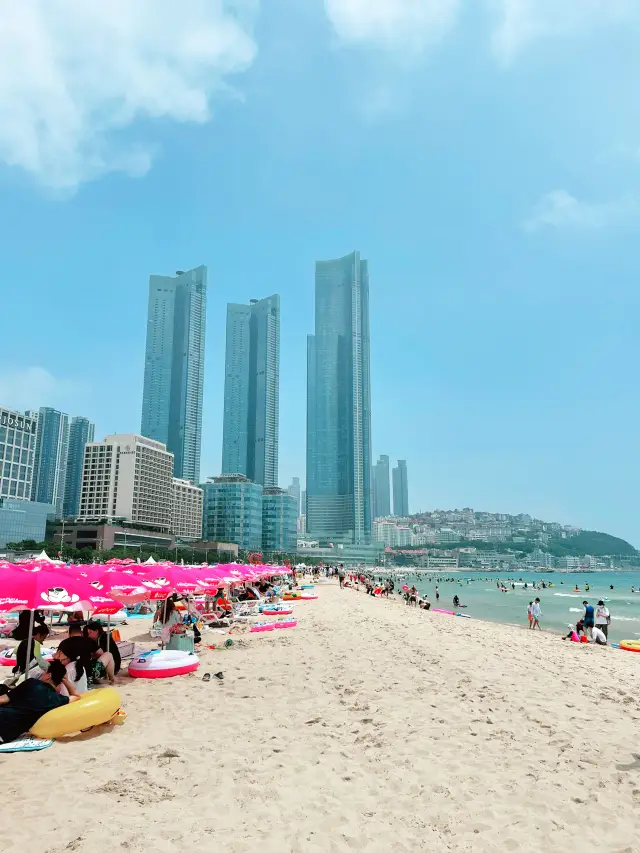 Yacht Trip in Busan!!!