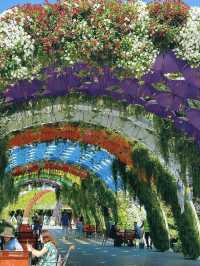 Dubai Miracle Garden: A Floral Wonderland in the Desert