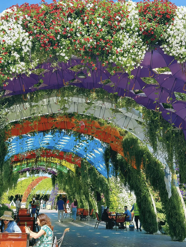 Dubai Miracle Garden: A Floral Wonderland in the Desert