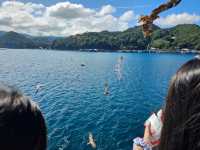 伊根灣的療癒小旅行