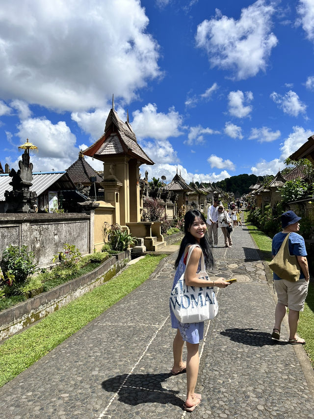 🇮🇩 Penglipuran Village 