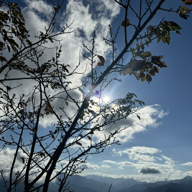 去露營吧⛺️桃園拉拉山的塔曼之光露營區推薦！