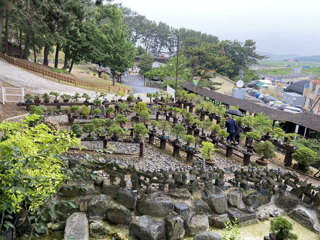 충청남도 죽도 상화원, 숨겨진 섬 속 힐링 여행 