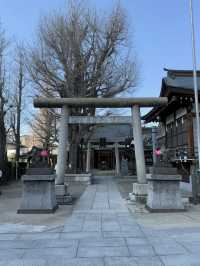 Tobikiinari Shrine: A Hidden Gem in Tokyo⛩️