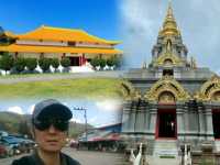 เช็คอิน@ดอยแม่สลอง