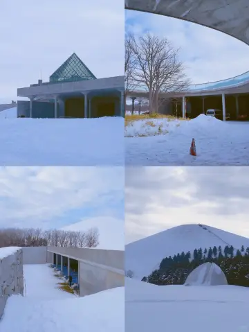 冬日札幌 🪨 莫埃來沼公園｜雪中的藝術與靜謐