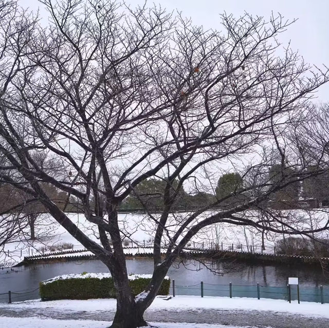 文來公園：冰雪童話世界 ❄️🏞️