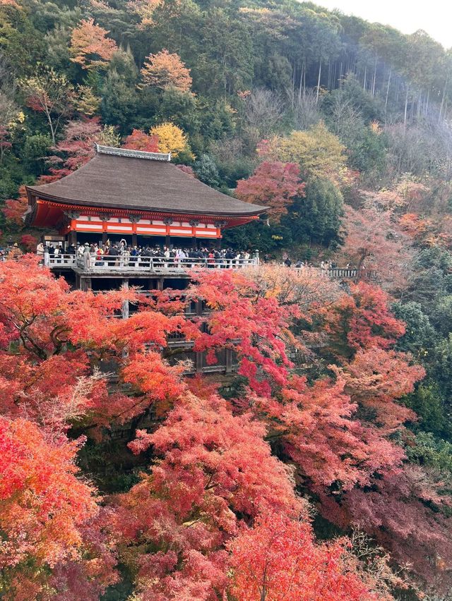 Capturing Kyoto’s Essence-The Timeless Beauty of Kiyomizu-dera