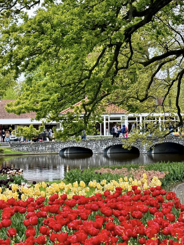 Keukenhof – A Dreamlike Stroll Through a Sea of Tulips