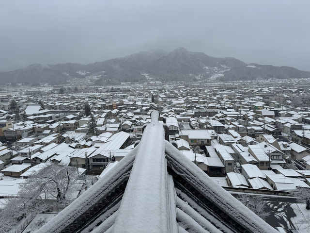 Winter Serenity at Matsushiro Castle