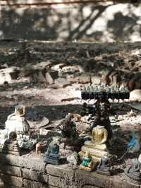 🌳 **【清邁烏蒙寺徒步指南：隧道盡頭的覺醒密語】** 📜  