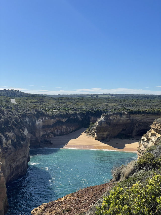 【メルボルン】世界一美しい海岸道路🇦🇺