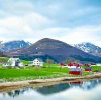 Enchanted by Hamnøy's Arctic Splendor
