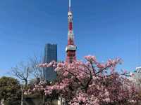 Shiba Park (芝公園)